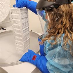 Image of Researcher Returning Specimens to Cold Storage